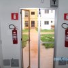 Obra Entregue Flores